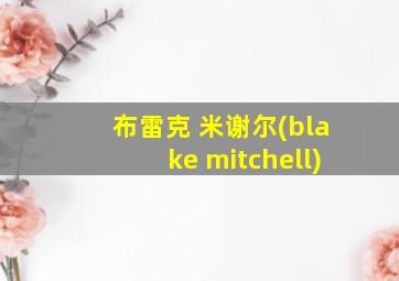 布雷克 米谢尔(blake mitchell)